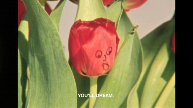 BM_13 Essential Rules_Rule06B