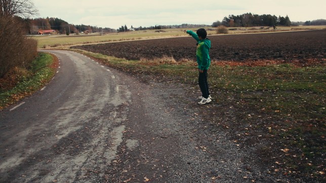 Ha╠êr a╠êr gra╠ênsen STILL 02